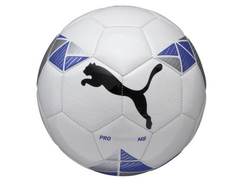 Lopta Puma Pro Training MS ball