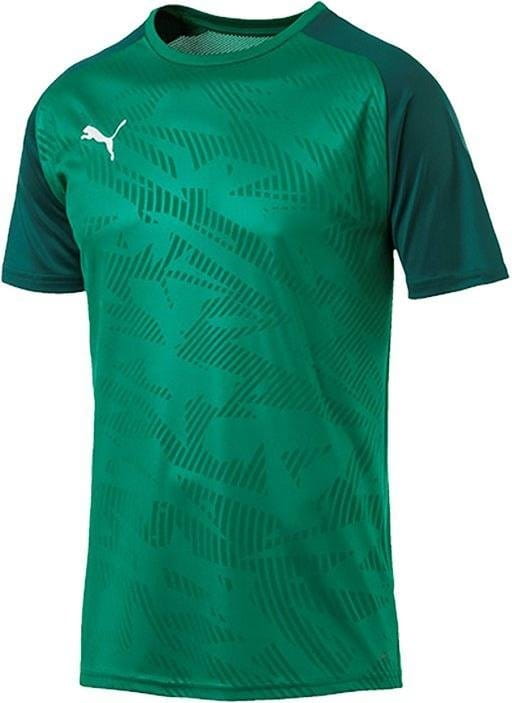 Dres Puma CUP Training Jersey Core