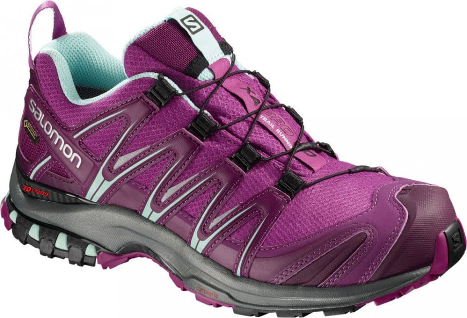 Trailové topánky Salomon XA PRO 3D GTX® W